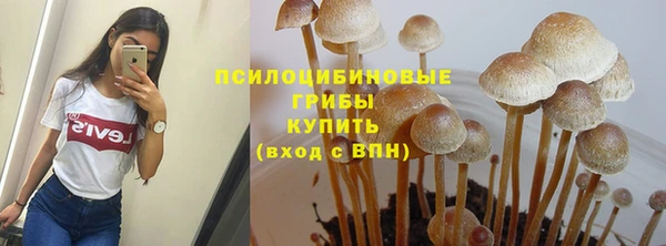 марки lsd Новозыбков