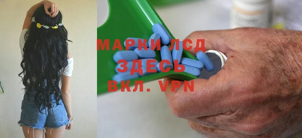 марки lsd Новозыбков