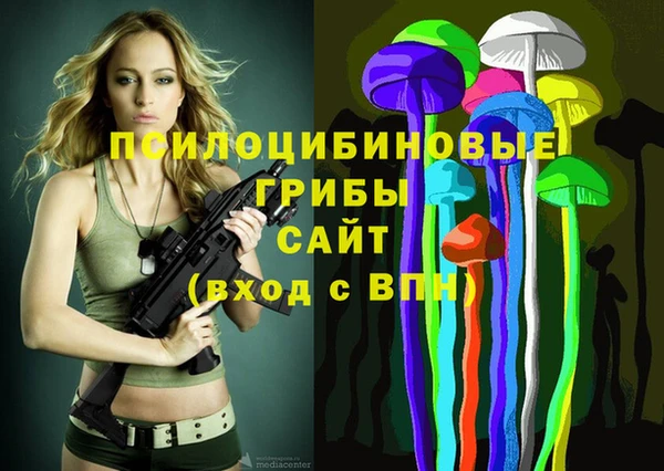 марки lsd Новозыбков