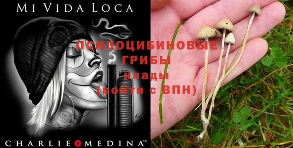 марки lsd Новодвинск