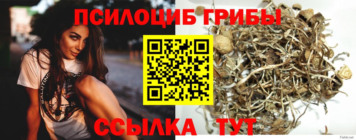 Псилоцибиновые грибы прущие грибы  Вход с VPN  где купить наркотик  Калуга 