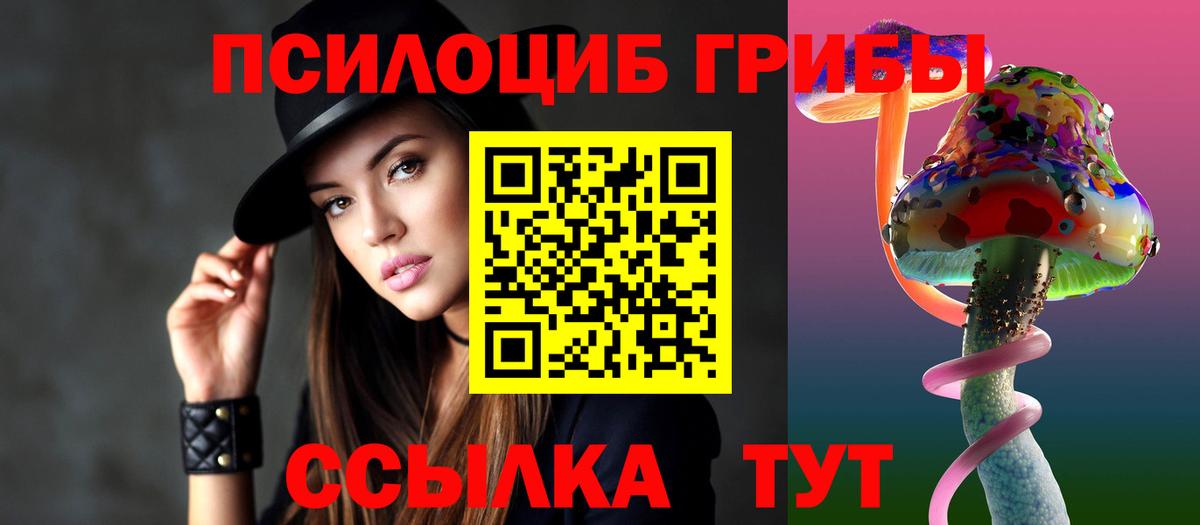 Галлюциногенные грибы мицелий  купить наркоту  Псилоцибиновые грибы MAGIC MUSHROOMS  Калуга 